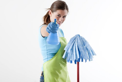 Domestic cleaning service in a Kennington living room