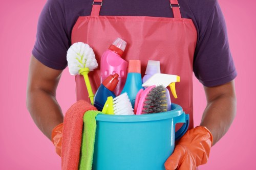 Kitchen appliance cleaning tools used by an oven cleaner in Kennington