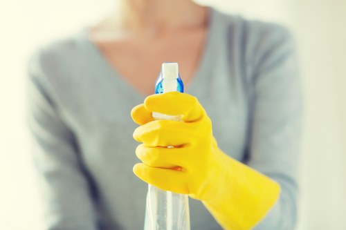 Regular home cleaning in a Kennington apartment