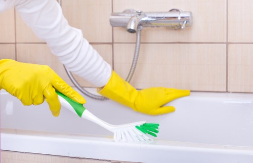 Kitchen and oven cleaning services image