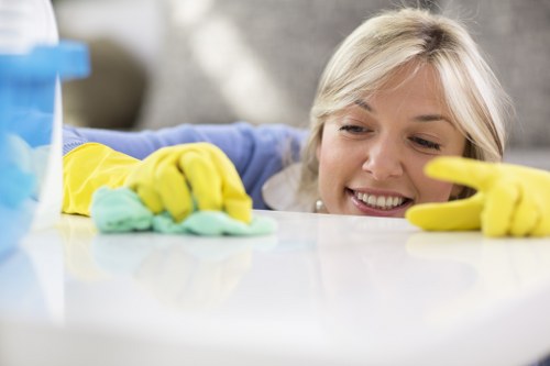 Visual representing accessibility support for local cleaning information