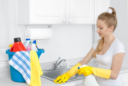 Cleaning a modern kitchen in Kennington